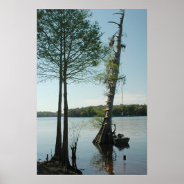 Póster Rope Swing on the Suwannee River Print