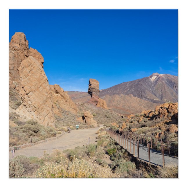 Póster Roques de Garcia (Anverso)