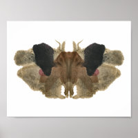 Rorschach Inkblot Test. No me llames loca