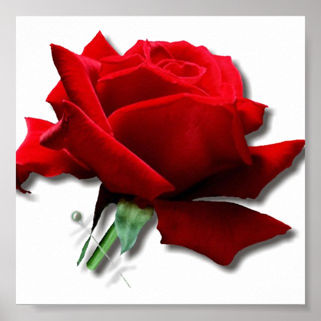 Póster Rosa (Frente)