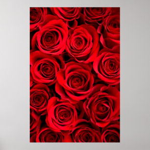 Póster Rosa