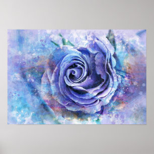 Póster Rosa