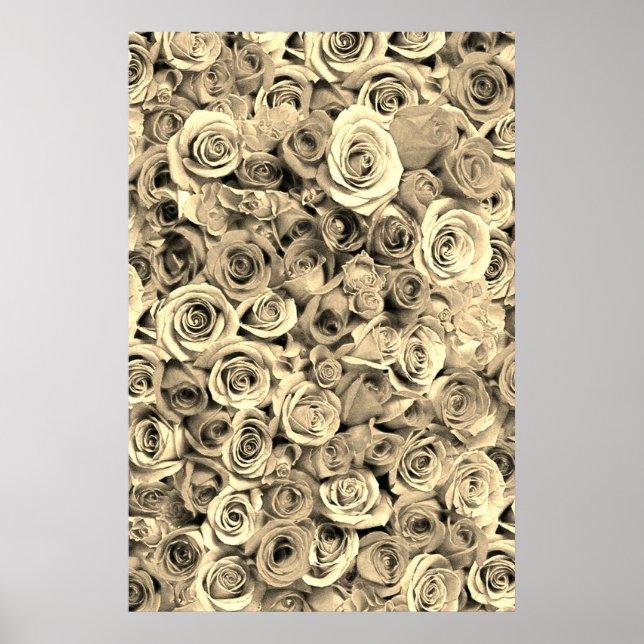 Póster Rosa (Frente)