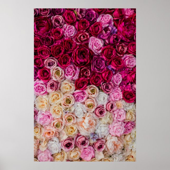 Póster Rosa (Frente)