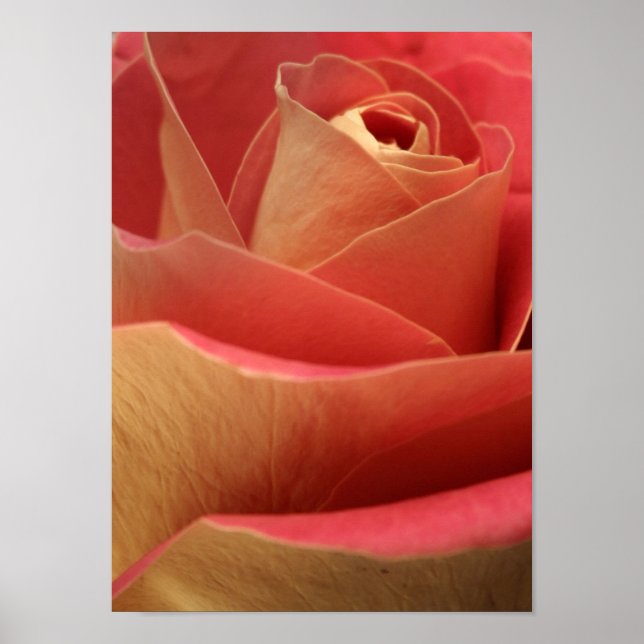 Póster Rosa (Frente)