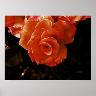 Póster rosa