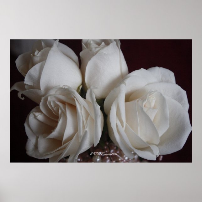 Póster Rosa 15 (Frente)