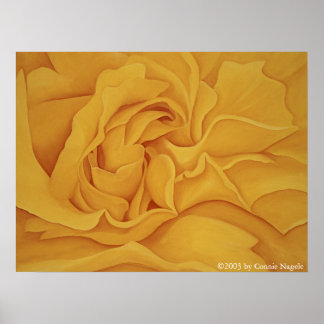 Póster Rosa #15 Poster