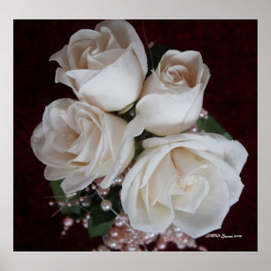 PÓSTER ROSA 2
