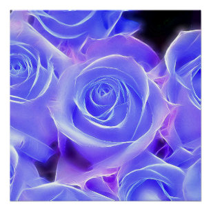 Póster Rosa 2014-0927