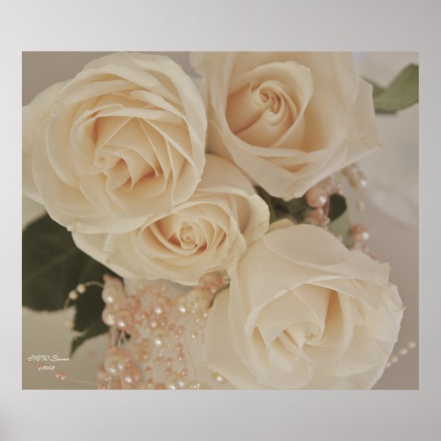 PÓSTER ROSA 3 (Frente)