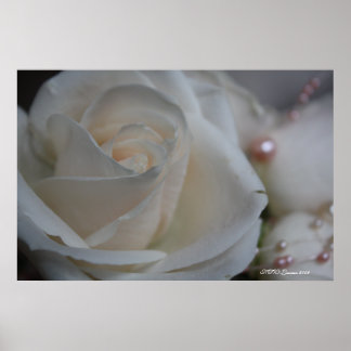 PÓSTER ROSA 6