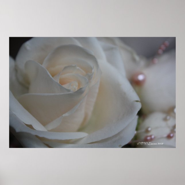 PÓSTER ROSA 6 (Frente)