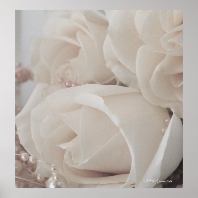 PÓSTER ROSA 9 (Frente)