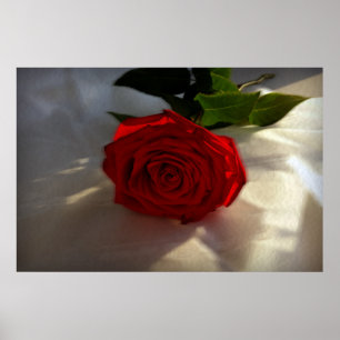 Póster rosa al atardecer