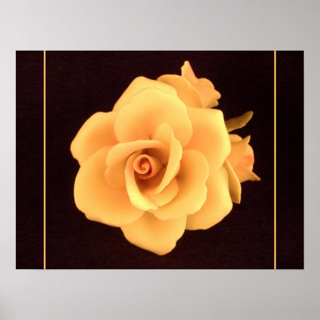 Póster Rosa Amarilla, Foto de 2004. (Frente)