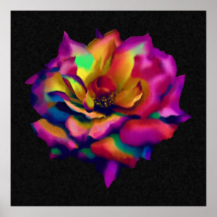 Póster Rosa arcoiris