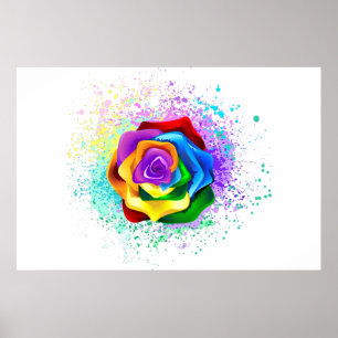 Póster Rosa arcoiris colorido