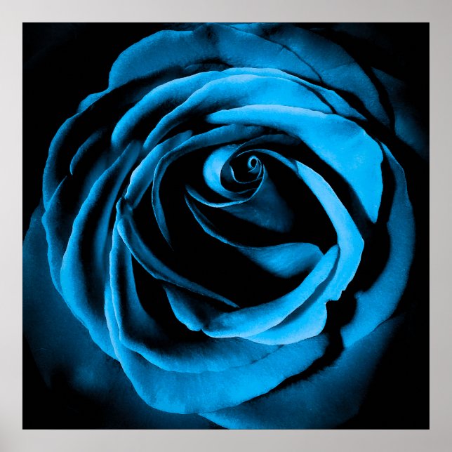 Póster Rosa azul (Frente)