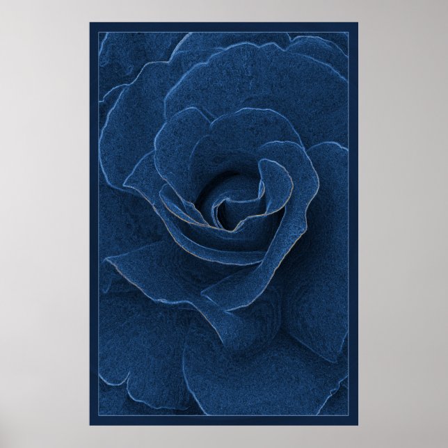 Póster Rosa azul de terciopelo (Frente)