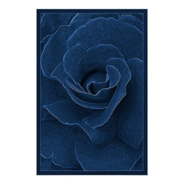 Póster Rosa azul de terciopelo (Anverso)
