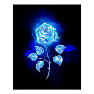 Póster Rosa azul en llamas