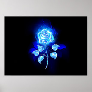 Póster Rosa azul en llamas
