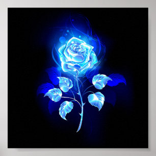 Póster Rosa azul en llamas