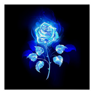 Póster Rosa azul en llamas