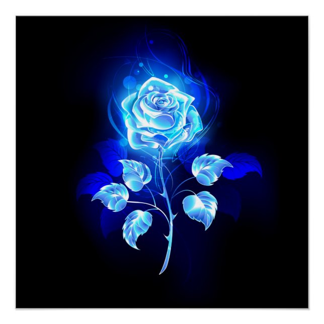 Póster Rosa azul en llamas (Anverso)