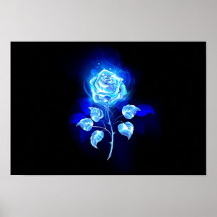 Póster Rosa azul en llamas