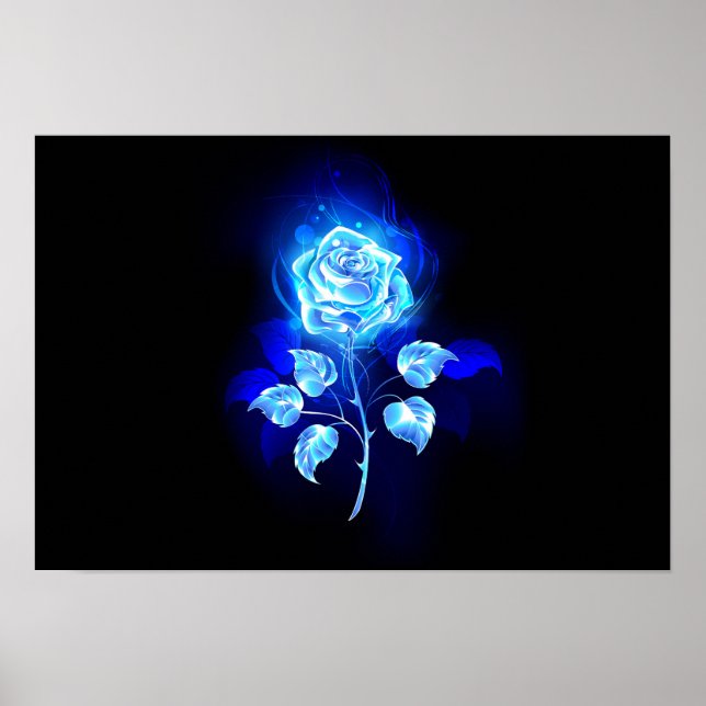 Póster Rosa azul en llamas (Frente)