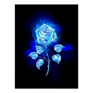 Póster Rosa azul en llamas