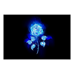 Póster Rosa azul en llamas