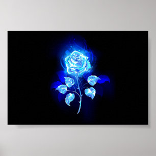 Póster Rosa azul en llamas