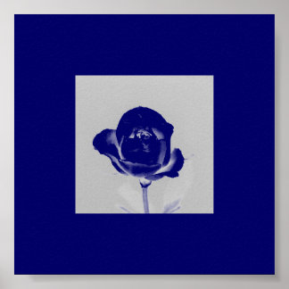 Póster Rosa azul Poster