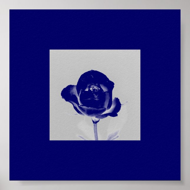 Póster Rosa azul Poster (Frente)