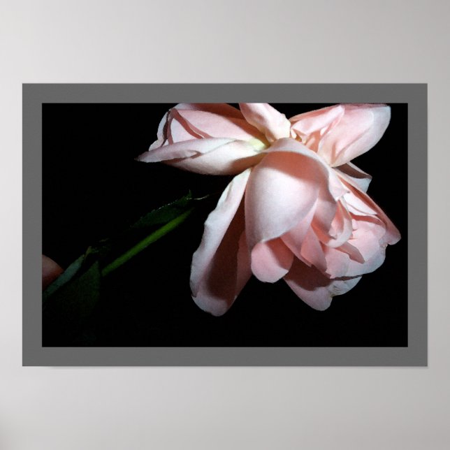 Póster Rosa bailarín (Frente)