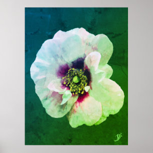 Póster Rosa blanca con corazón oscuro - pintura al óleo