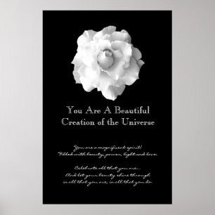 Póster Rosa blanca de inspiración