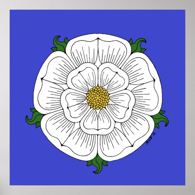Póster Rosa Blanca de York (Frente)