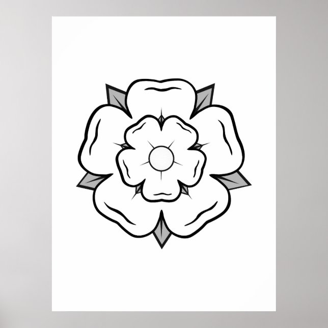 Póster Rosa Blanca de York (Frente)