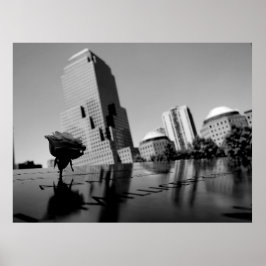 Póster Rosa blanca del recuerdo