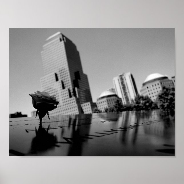 Póster Rosa blanca del recuerdo (Frente)