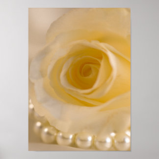 Póster Rosa blanca y Perlas