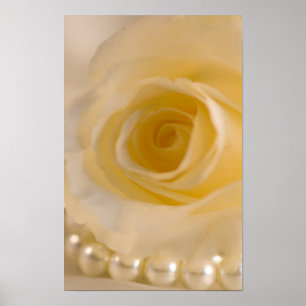 Póster Rosa Blanca y Perlas
