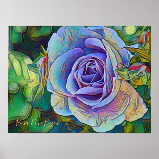 Póster Rosa Blue Bajou [documento Poster de valor] (Frente)