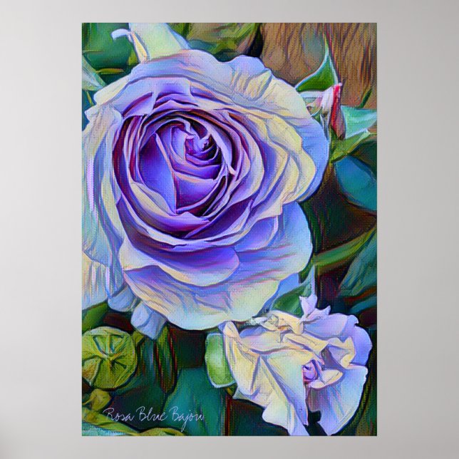 Póster Rosa Blue Bajou [Póster] (Frente)