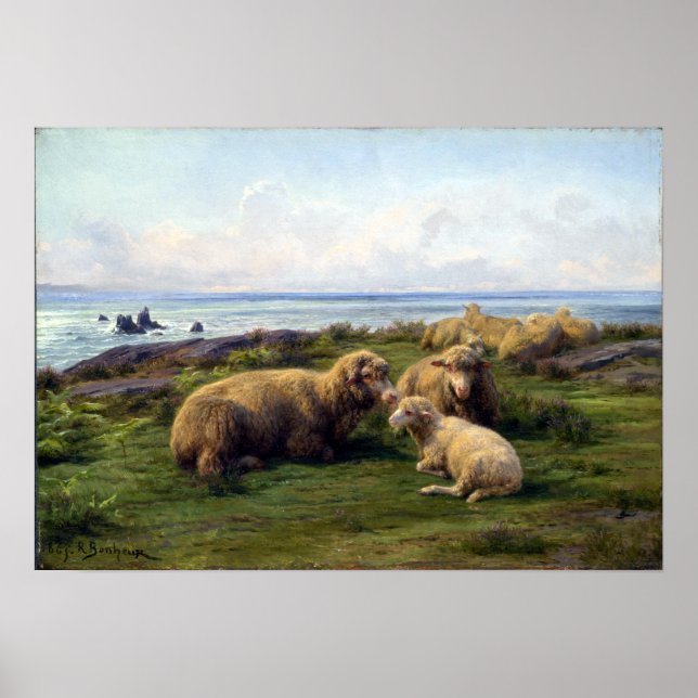 Póster Rosa Bonheur Oveja junto al mar (Frente)