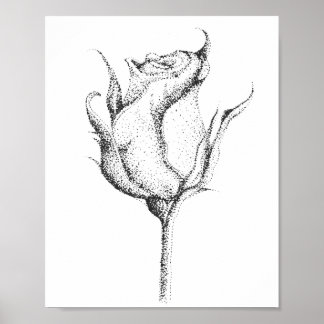 PÓSTER ROSA BUD